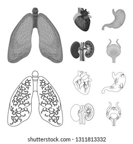 Vector design of body and human logo. Collection of body and medical stock vector illustration.