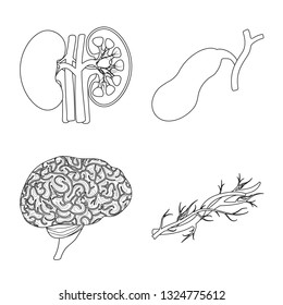Vector design of body and human logo. Set of body and medical vector icon for stock.