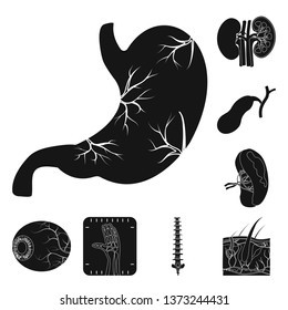 Vector design of body and human logo. Set of body and medical stock vector illustration.