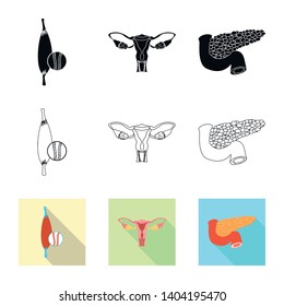 Vector design of body and human logo. Collection of body and medical vector icon for stock.