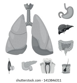 Vector design of body and human logo. Set of body and medical vector icon for stock.