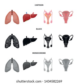 Vector design of body and human logo. Set of body and medical stock symbol for web.