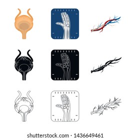 Vector design of body and human logo. Collection of body and medical stock vector illustration.
