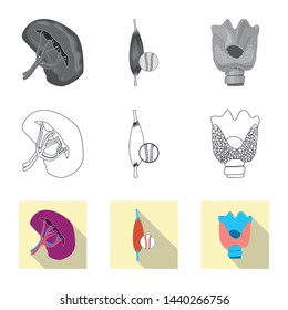 Vector design of body and human logo. Collection of body and medical vector icon for stock.