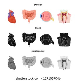 Vector design of body and human sign. Collection of body and medical stock vector illustration.