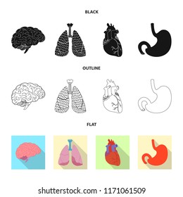 Vector design of body and human sign. Set of body and medical stock vector illustration.