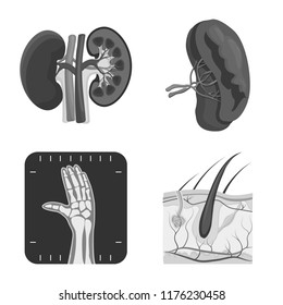 Vector design of body and human sign. Collection of body and medical stock symbol for web.