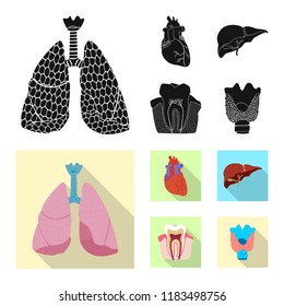 Vector design of body and human sign. Set of body and medical stock vector illustration.