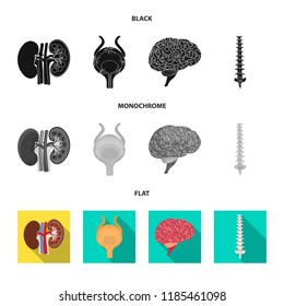 Vector design of body and human sign. Set of body and medical stock vector illustration.