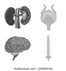 Vector design of body and human sign. Collection of body and medical stock symbol for web.