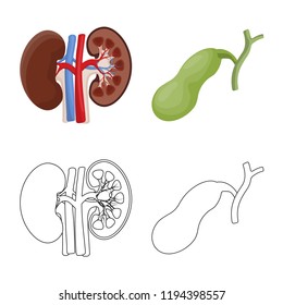 Vector design of body and human sign. Collection of body and medical stock symbol for web.
