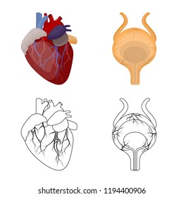 Vector design of body and human sign. Collection of body and medical stock vector illustration.