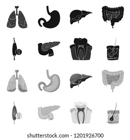 Vector design of body and human sign. Collection of body and medical stock vector illustration.