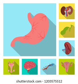 Vector design of body and human sign. Set of body and medical stock vector illustration.
