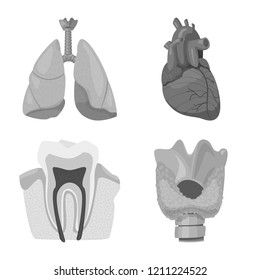 Vector design of body and human sign. Set of body and medical vector icon for stock.