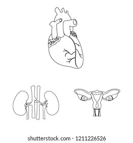 Vector design of body and human sign. Collection of body and medical vector icon for stock.