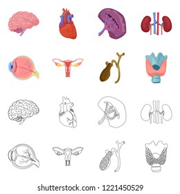 Vector design of body and human sign. Set of body and medical stock vector illustration.