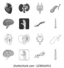 Vector design of body and human sign. Set of body and medical vector icon for stock.