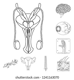 Vector design of body and human sign. Collection of body and medical stock vector illustration.