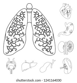Vector design of body and human sign. Set of body and medical vector icon for stock.
