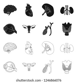 Vector design of body and human sign. Collection of body and medical vector icon for stock.