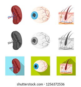 Vector design of body and human sign. Collection of body and medical stock symbol for web.