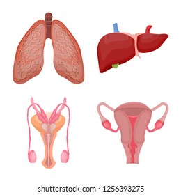 Vector design of body and human sign. Set of body and medical stock vector illustration.