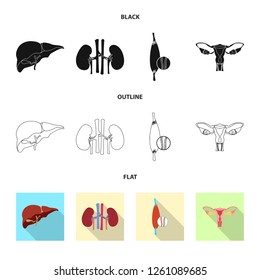Vector design of body and human sign. Set of body and medical vector icon for stock.