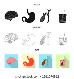 Vector design of body and human sign. Collection of body and medical vector icon for stock.