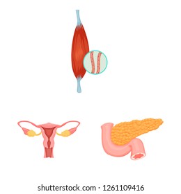 Vector design of body and human sign. Collection of body and medical stock symbol for web.