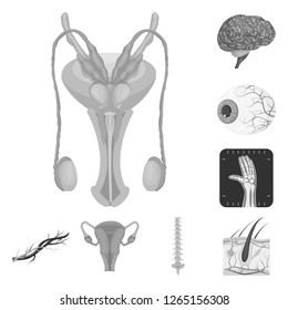 Vector design of body and human sign. Set of body and medical vector icon for stock.