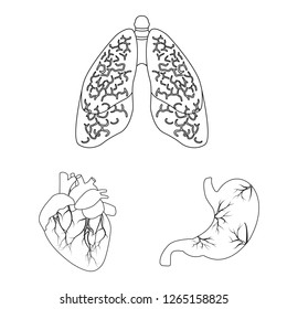 Vector design of body and human sign. Set of body and medical vector icon for stock.
