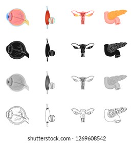 Vector design of body and human sign. Collection of body and medical stock symbol for web.