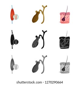 Vector design of body and human sign. Collection of body and medical stock symbol for web.