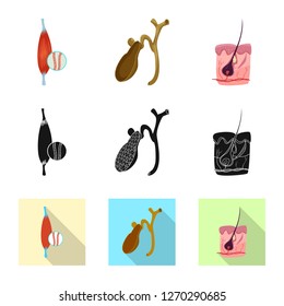 Vector design of body and human sign. Collection of body and medical stock symbol for web.
