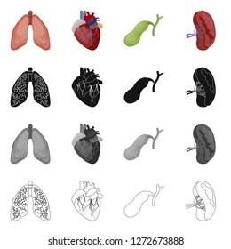 Vector design of body and human sign. Collection of body and medical stock symbol for web.