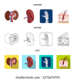 Vector design of body and human sign. Set of body and medical stock symbol for web.
