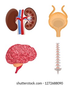 Vector design of body and human sign. Set of body and medical vector icon for stock.