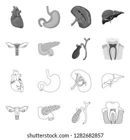Vector design of body and human sign. Collection of body and medical stock vector illustration.