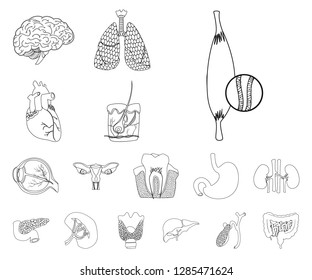 Vector design of body and human sign. Collection of body and medical stock vector illustration.