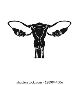 Vector design of body and human sign. Set of body and medical stock vector illustration.