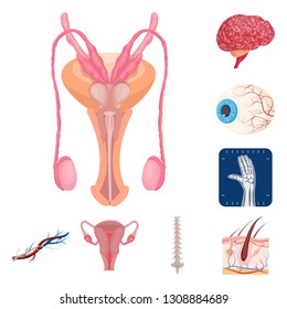 Vector design of body and human sign. Set of body and medical stock vector illustration.