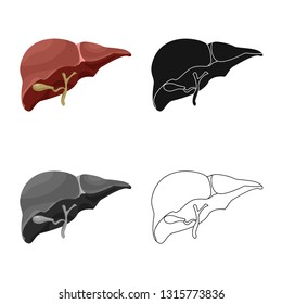 Vector design of body and human sign. Set of body and medical stock vector illustration.