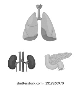 Vector design of body and human sign. Collection of body and medical stock vector illustration.