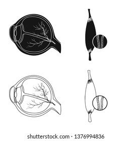 Vector design of body and human sign. Collection of body and medical vector icon for stock.