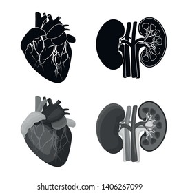 Vector design of body and human sign. Set of body and medical stock symbol for web.