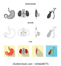 Vector design of body and human sign. Set of body and medical stock vector illustration.
