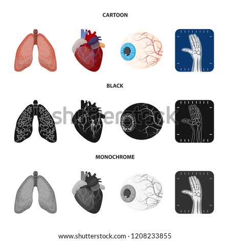 Vector design of body and human sign. Collection of body and medical vector icon for stock.