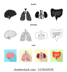 Vector design of body and human symbol. Set of body and medical stock symbol for web.