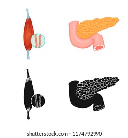 Vector design of body and human symbol. Set of body and medical stock symbol for web.